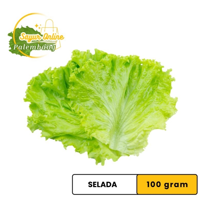 

Sayur Selada 100 grm - Sayur Online Palembang