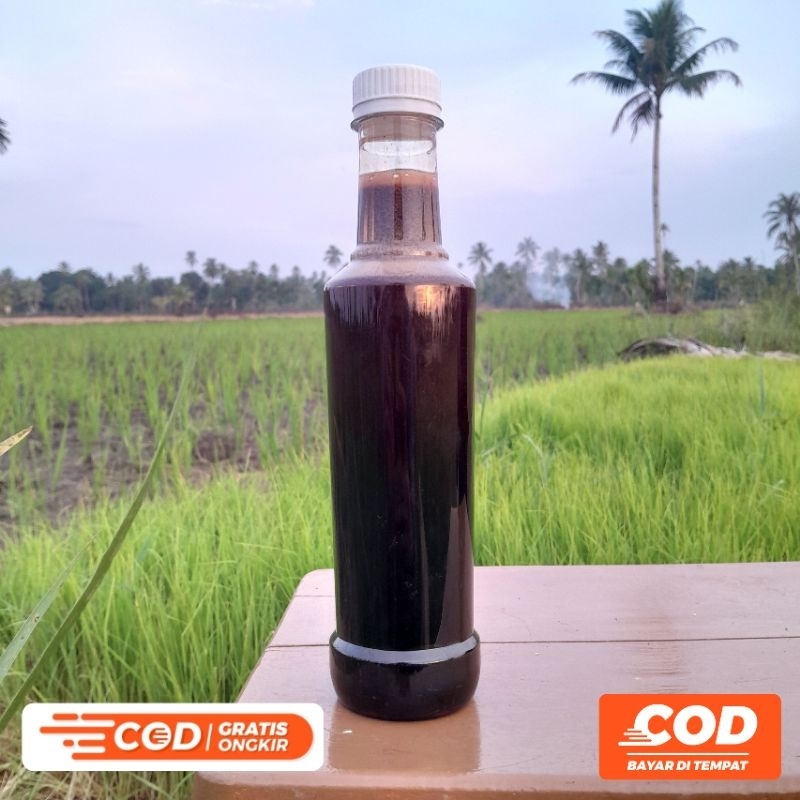 

MADU HUTAN A MURNI ASLI 100% | SANADNYA JELAS | 500gr