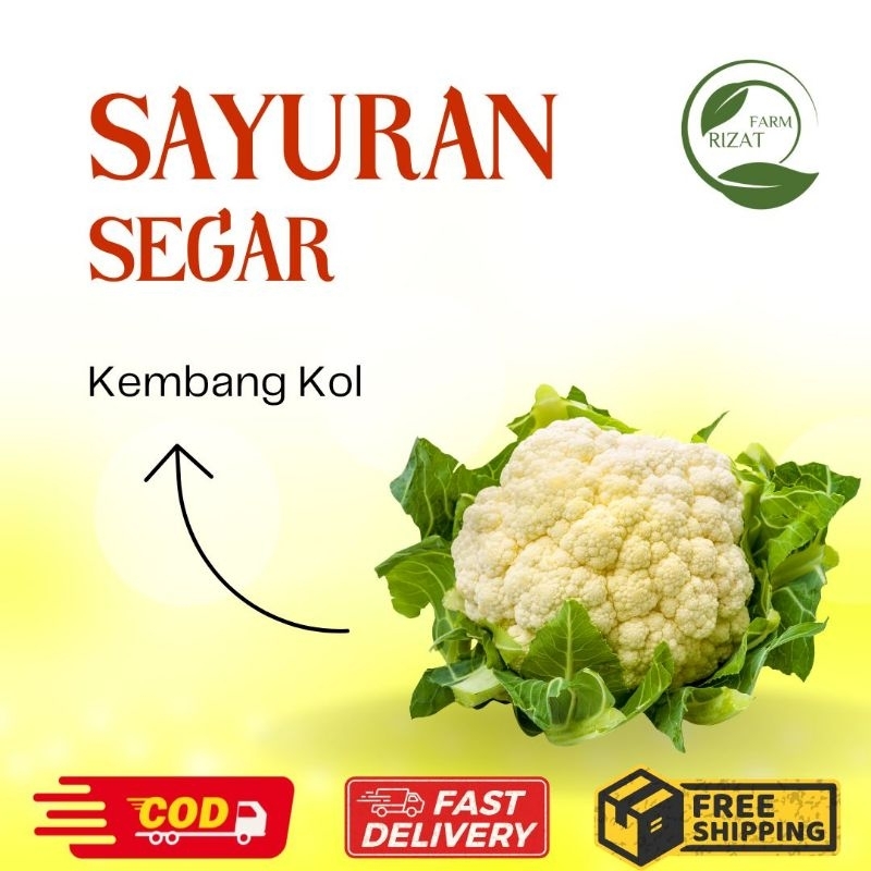 

[Dikirim Instant] Kembang Kol Segar