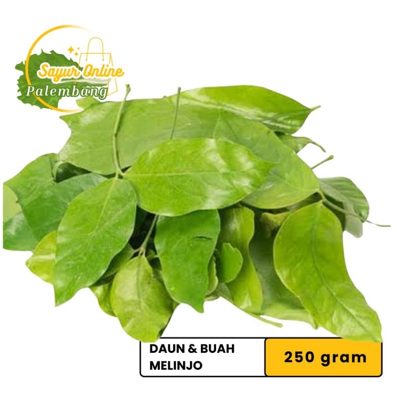 

DaunSo/Melinjo 250 gram - Sayur Online Palembang