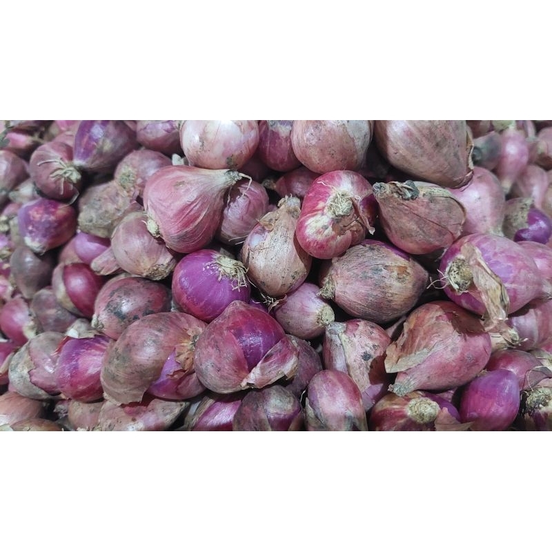 

bawang merah nganjuk tanggung/besar