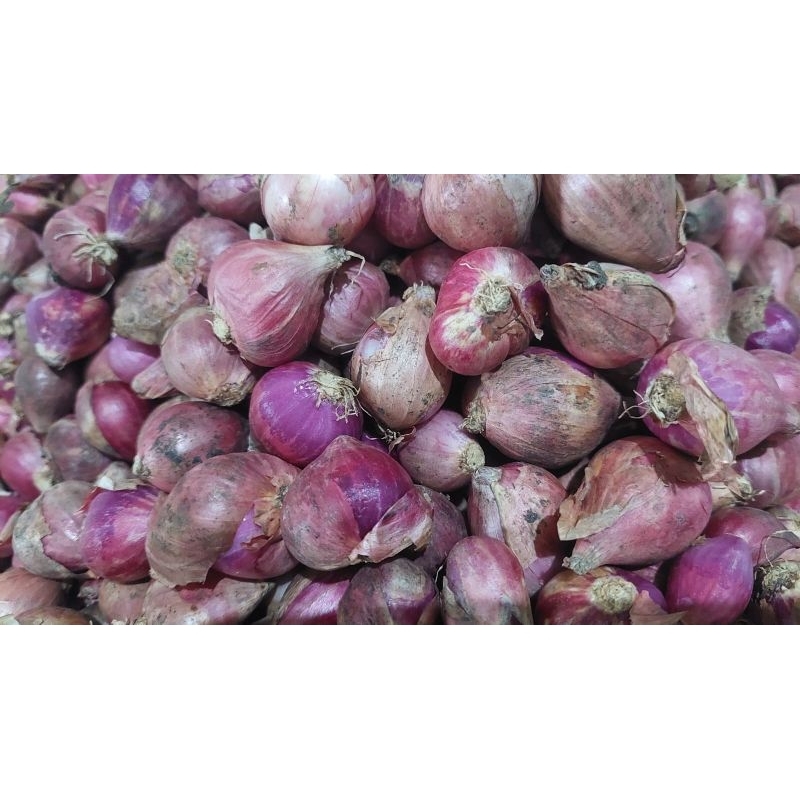 

bawang merah nganjuk tanggung/besar 1kg