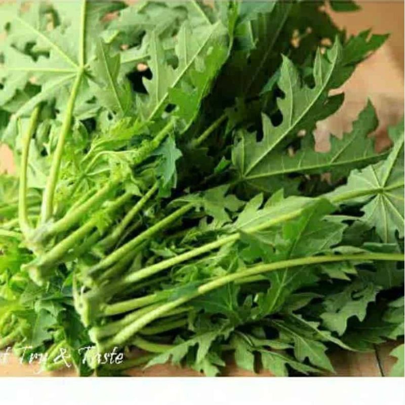 

Daun PEPAYA Segar 1/2 Kg Pucuk Daun Pepaya Segar