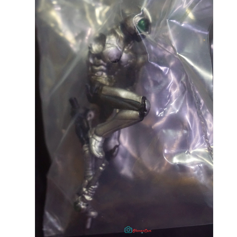 Bandai SIC Takumi Soul vol 8 : Kamen Rider Black RX vs General Jark [Artist Color] (warna silver)