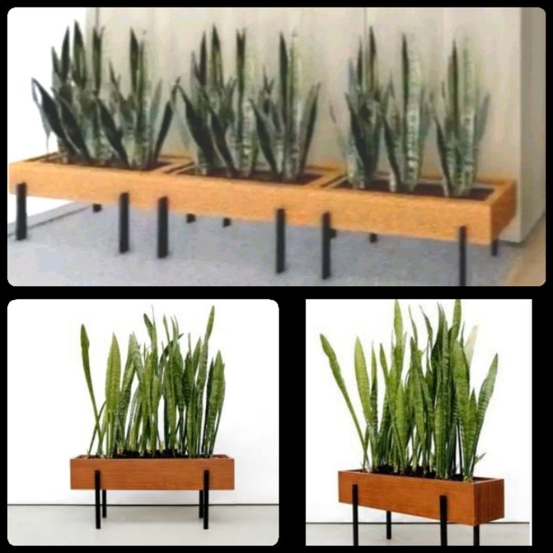 Pot kayu panjang custom