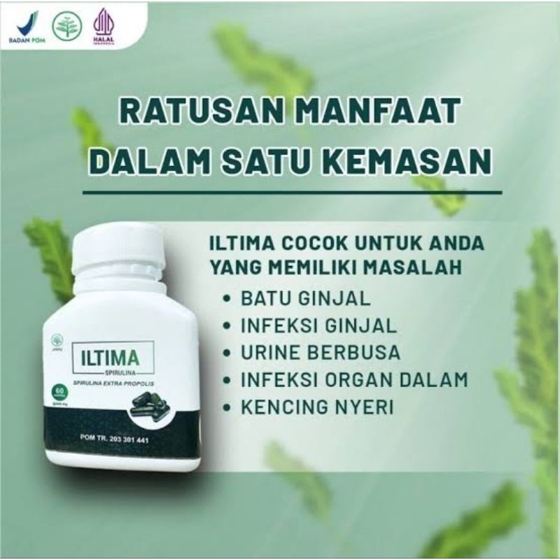 iLTiMA SPIRULINA EXTRA PROPOLIS OBAT BATU GINJAL ASLI ORIGINAL BPOM