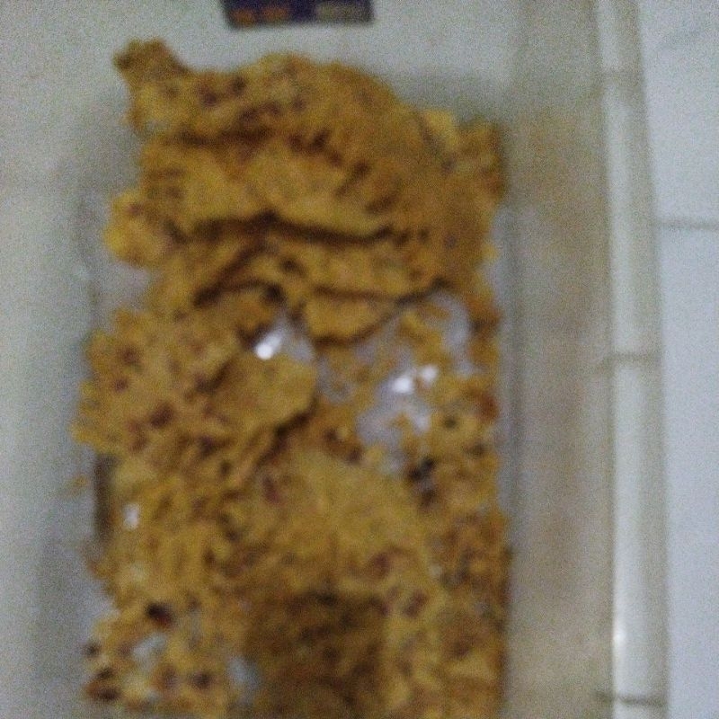 

Peyek kancang