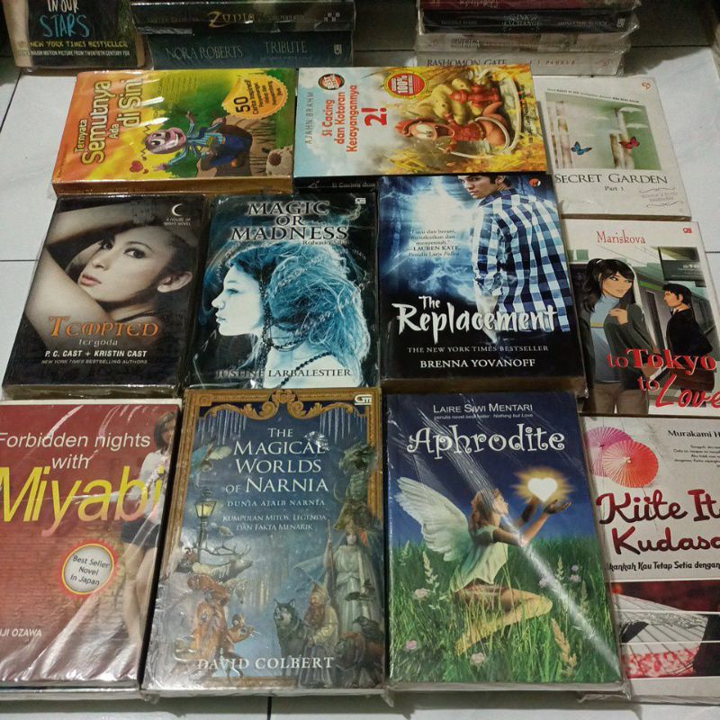 novel fantasi original