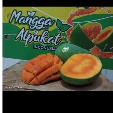 

Mangga alpukat perbox berat 5kg