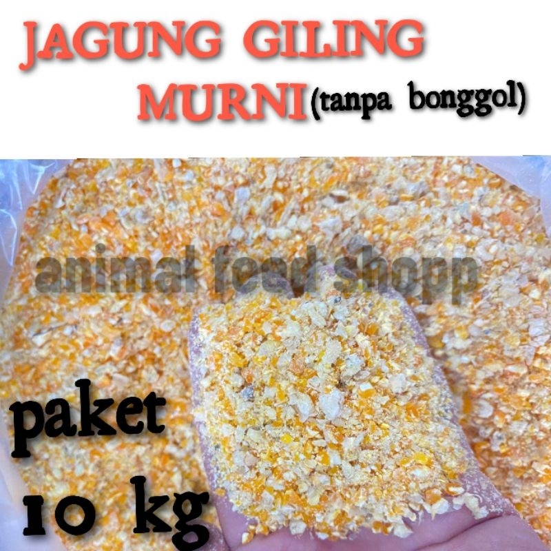 

jagung giling murni tanpa janggel 10 kg