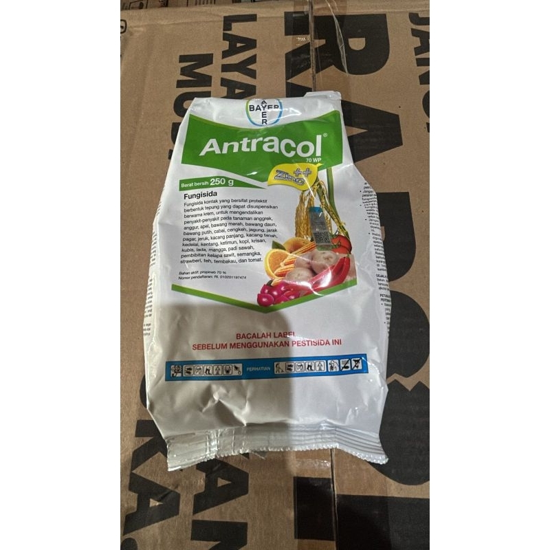Antracol 70WP 250 gram