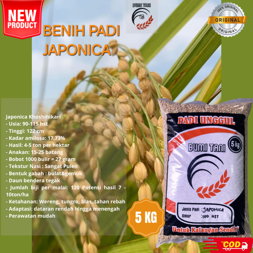 BENIH PADI JAPONICA KOSHIHIKARI KEMASAN 5KG ORIGINAL BIBIT PADI JAPONICA UNGGUL