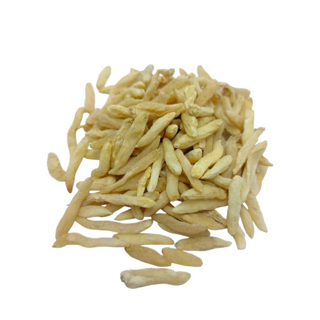 

Mai Dong 麦冬 Ma Tung - Mai Men Dong Tuber Ophiopogonis Japonici