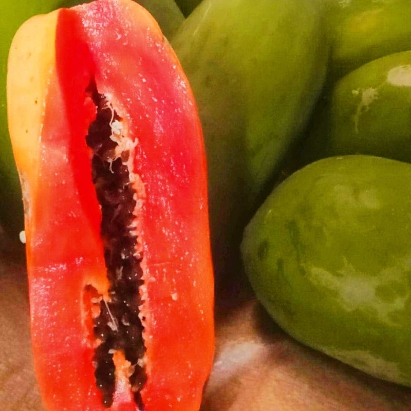 

Pepaya kalifornia (Buah matang pohon 1 kg)