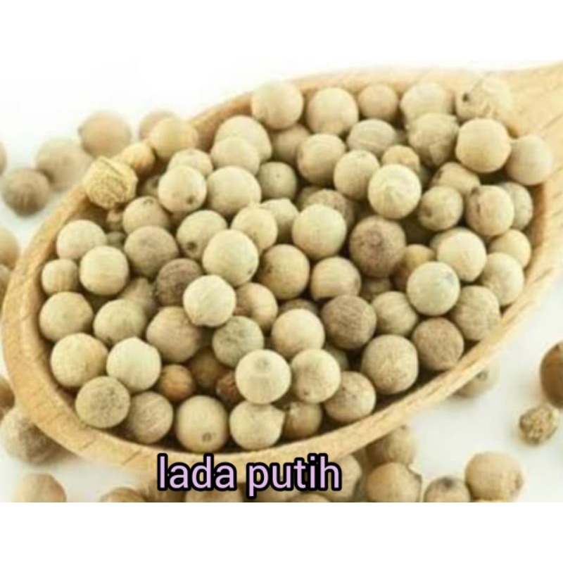 

LADA PUTIH BULAT SUPER RP 49.000 / 250 GRAM8