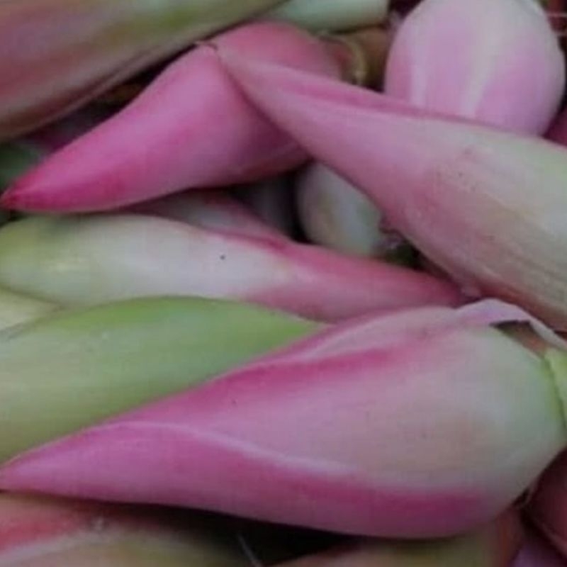 

Bunga kecombran segar 250 grm - kincung fresh organik