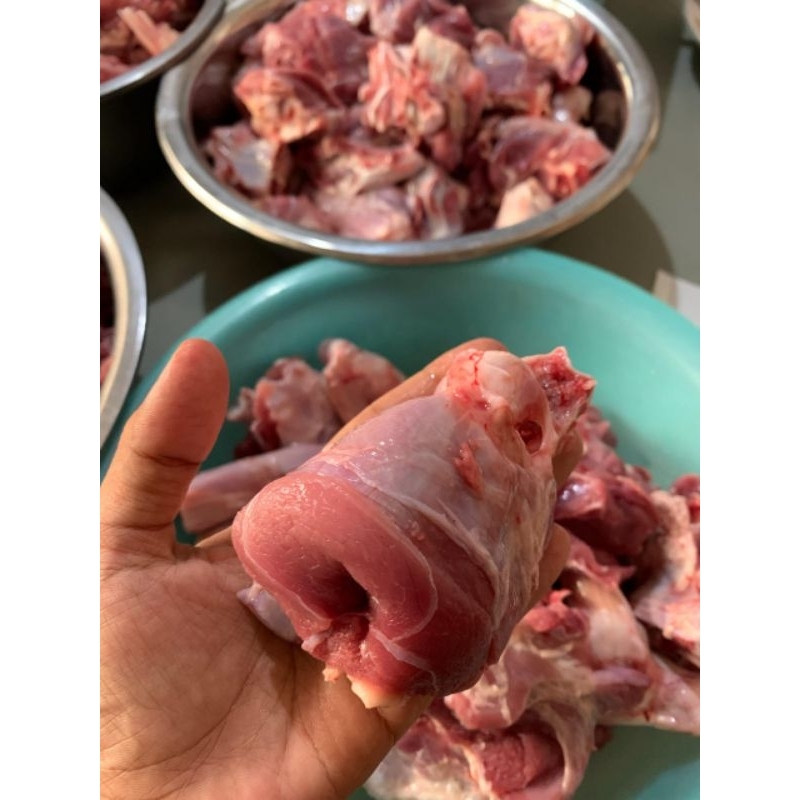 

Daging Kambing Muda