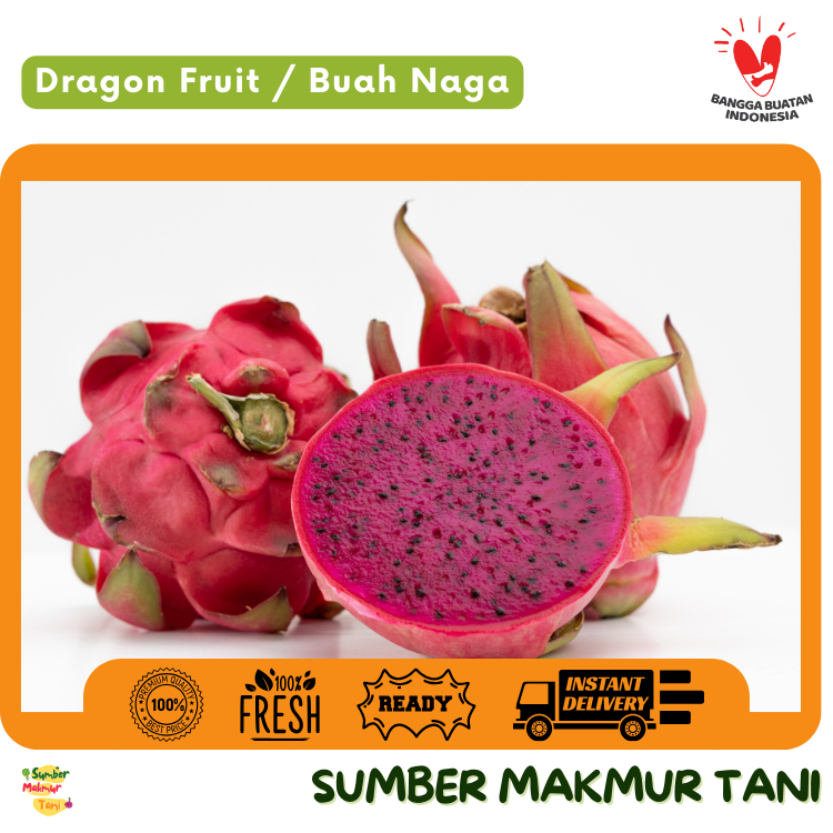 

[TERMURAH] Buah Naga Merah Segar 500 gr /1 kg / Fresh Dragon Fruit - Manis & Kaya Nutrisi, Cocok untuk Smoothie, Jus & Camilan Sehat, Kirim Instant