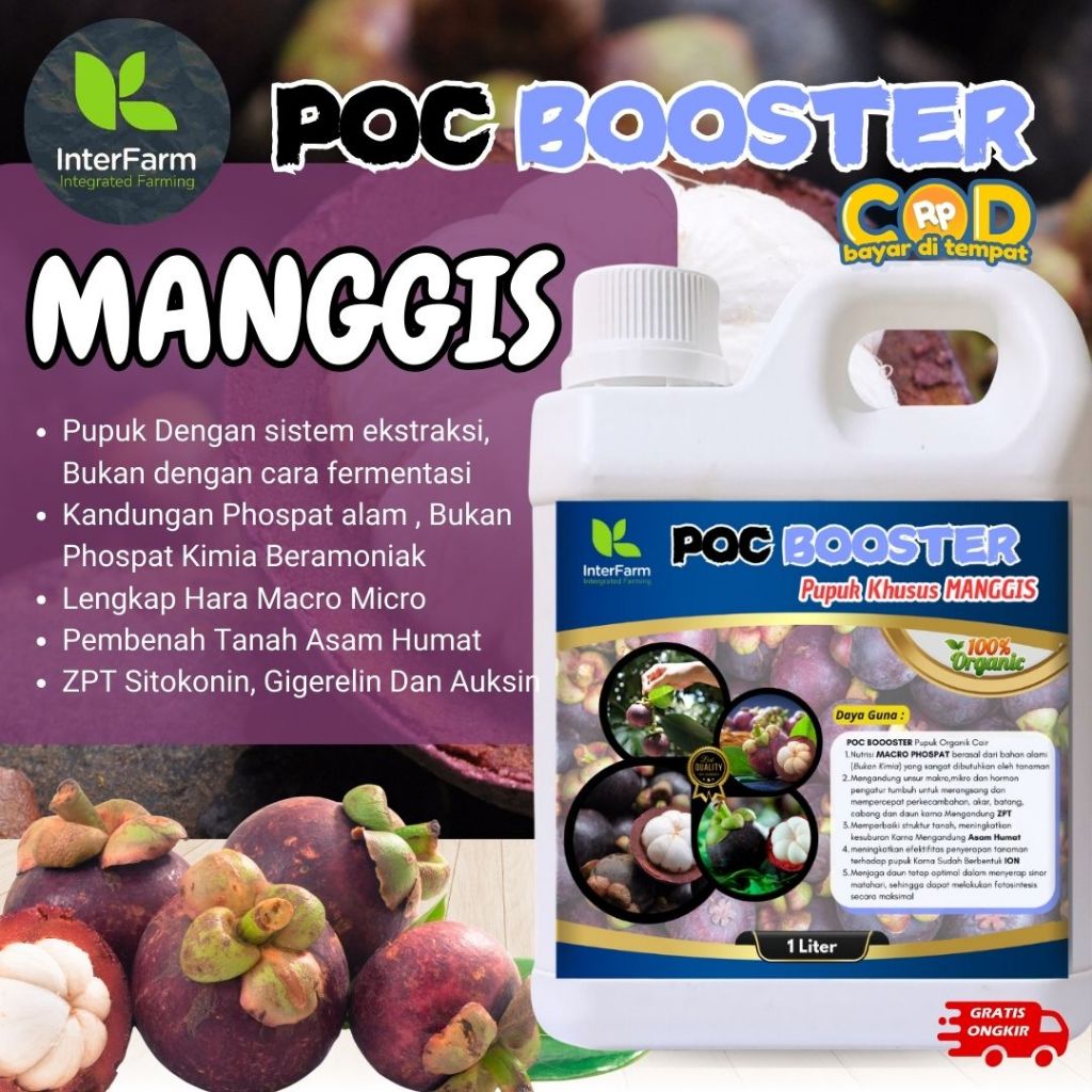 Pupuk pelebat buah manggis  merah,Pupuk untuk manggis, Pupuk cair organik untuk manggis INTERFARM