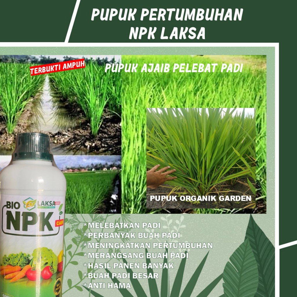 PUPUK BOOSTER Bitit Padi Terbaik isi 500 ML BIO NPK LAKSA - Pupuk Pelengkap Cair Pelebat Anakan Padi