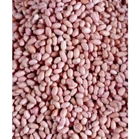 

KACANG SAMBAL/KACANG MENTAH