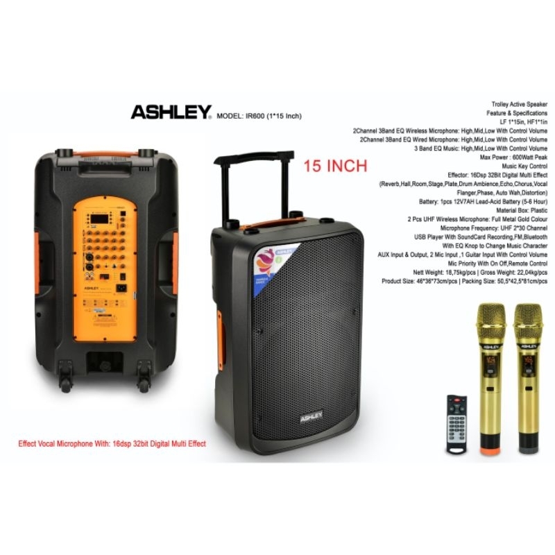speaker portable 15 inch original ashley ir600 speaker karaoke 15 inch bluetooth mp3