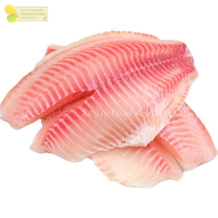 Tilafia Fillet / Ikan Nila Fillet / Ikan Nila Segar