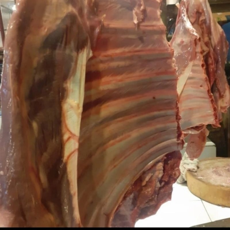 

Tulang Iga Kambing Fresh Sudah Dipotongin 500 gr