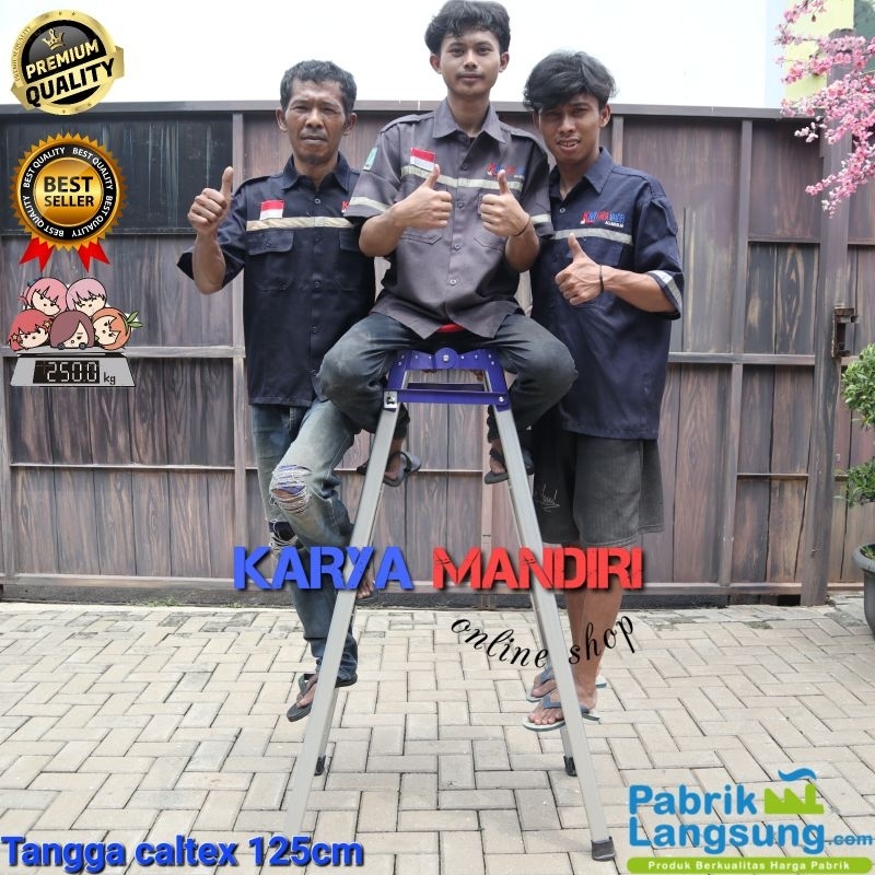 TERMURAH - Tangga Lipat / Tangga Aluminium / tangga lipat Jumbo / 1 M / 1,25 M / Caltex Biru