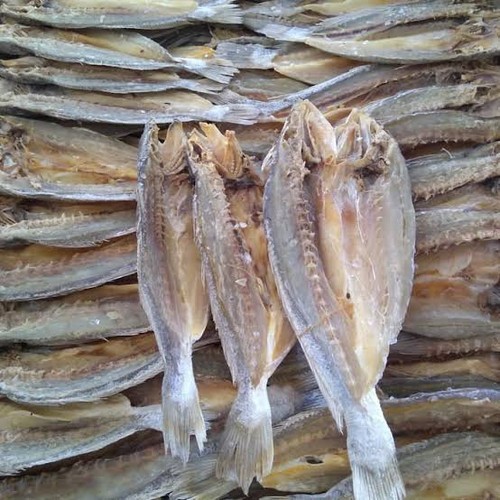 

COD ikan asin samge belah super / ikan asin kepala batu