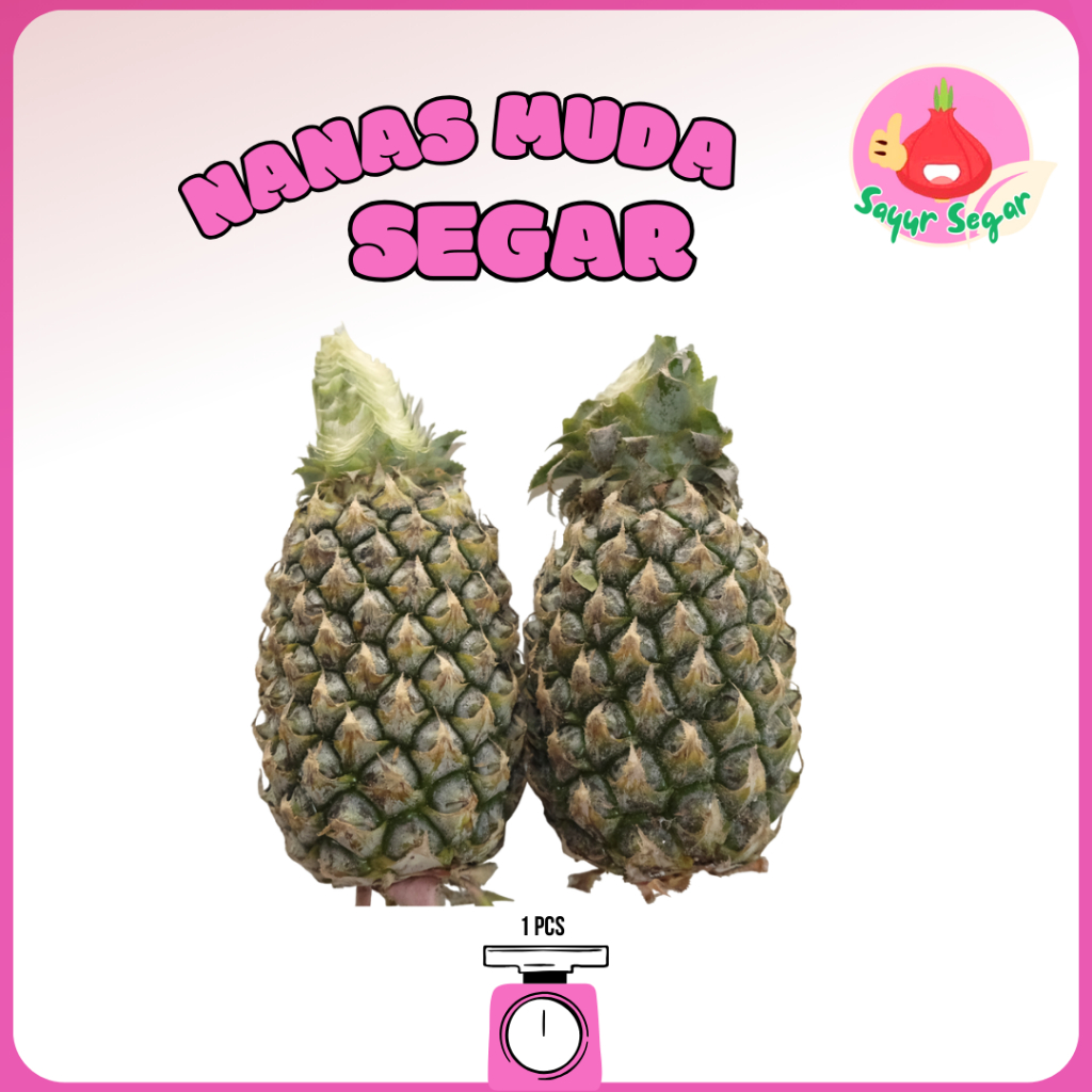 

Sayur Segar - Nanas Muda Segar / Young Pineapple 1 pcs