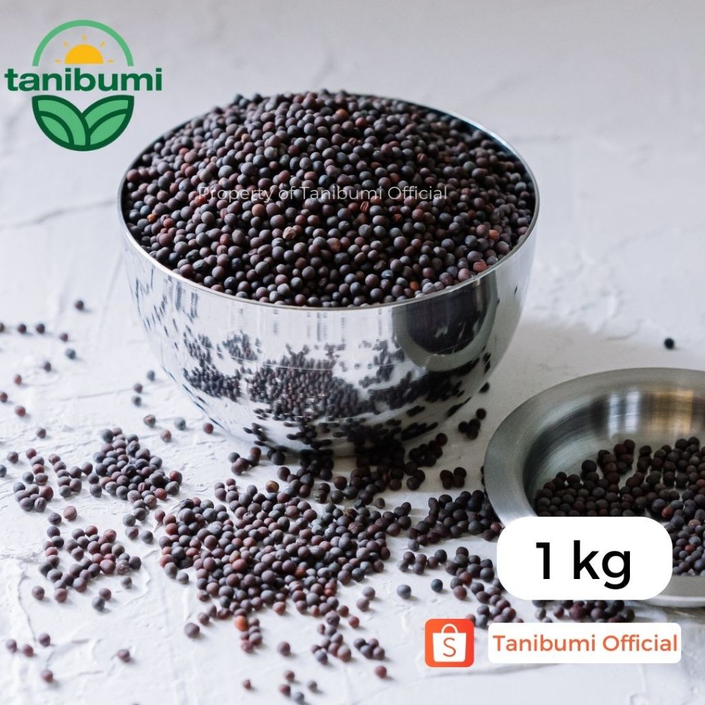 

1Kg | Premium Black Mustard Seed | Biji Sawi / Sesawi / Moster Hitam | Impor