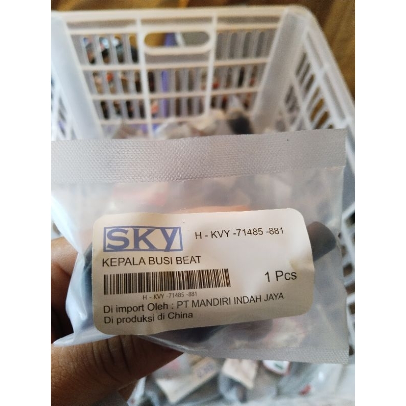 cop busi (kepala busi) beat sky
