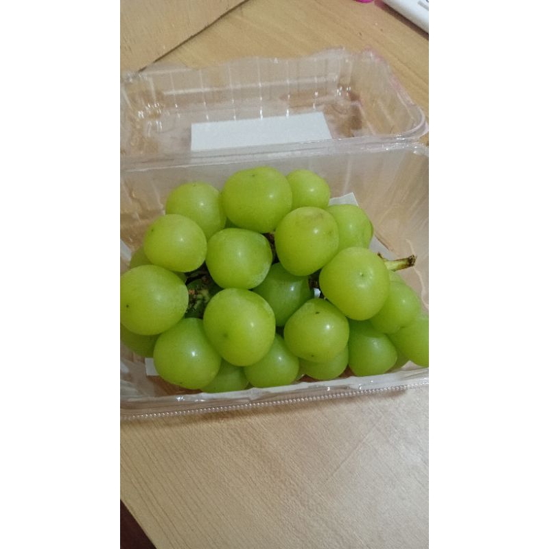 

Anggur Muscat Anggur Hijau Viral - Buah Buahan Bandung - Toko buah bandung - buah buahan cimahi