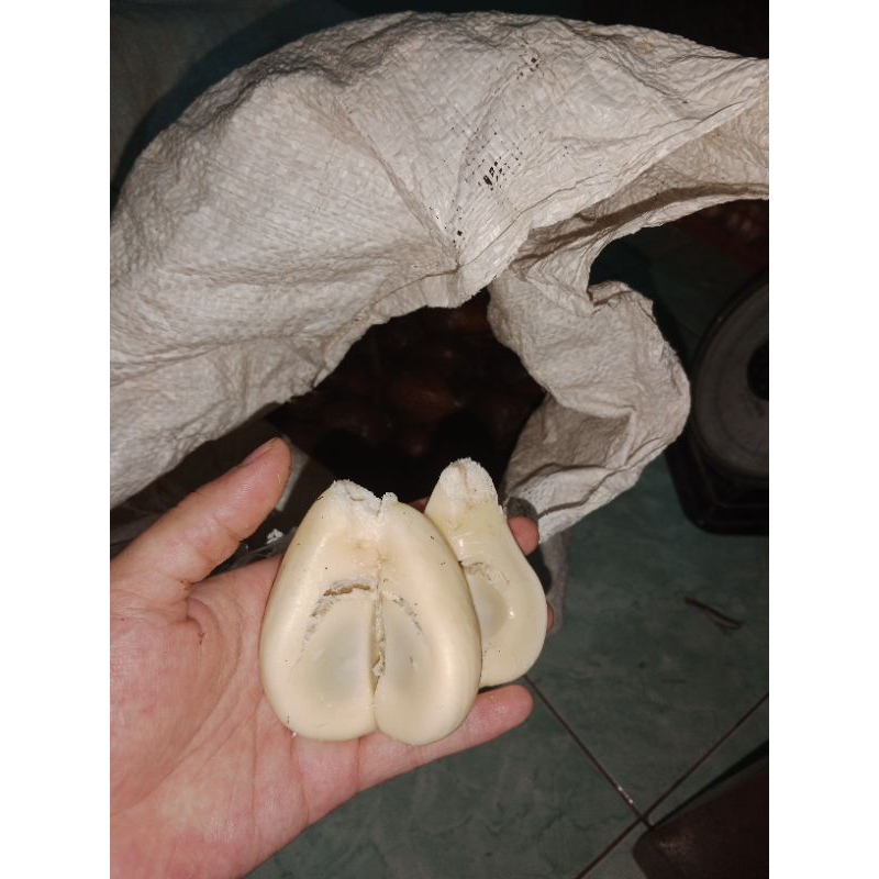 

buah salak pondoh