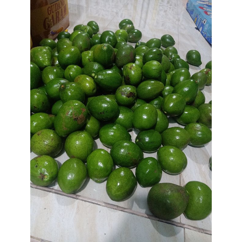 

alpukat mentega juss