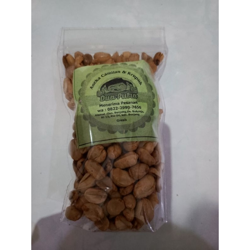 

Kacang Plontos