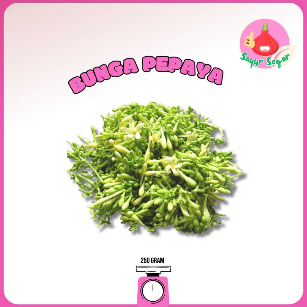 

Sayur Segar - Bunga Pepaya/Papaya Flower 250 gr