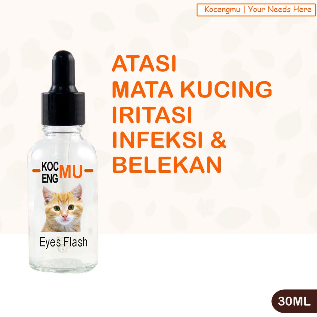 Obat Tetes Mata Kucing Obat Mata Kucing Sakit Mata Kucing Kocengmu