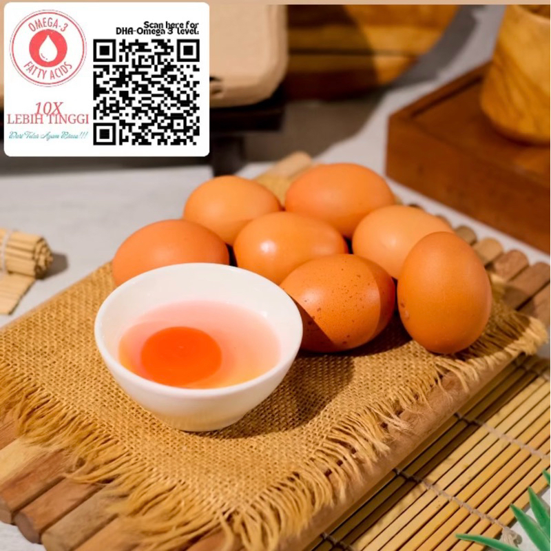 

Telur Omega 3