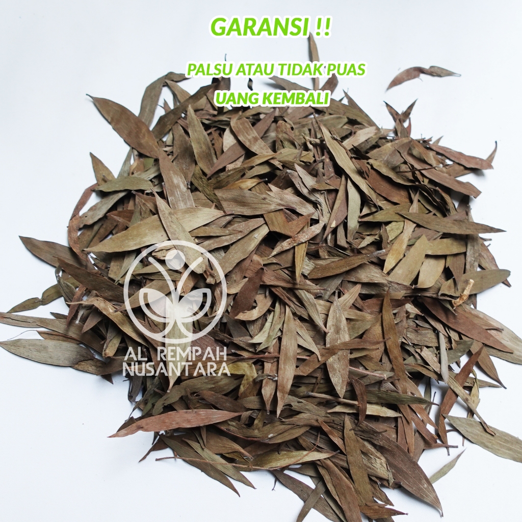 

Daun Kayu Putih Kering 1kg Asli