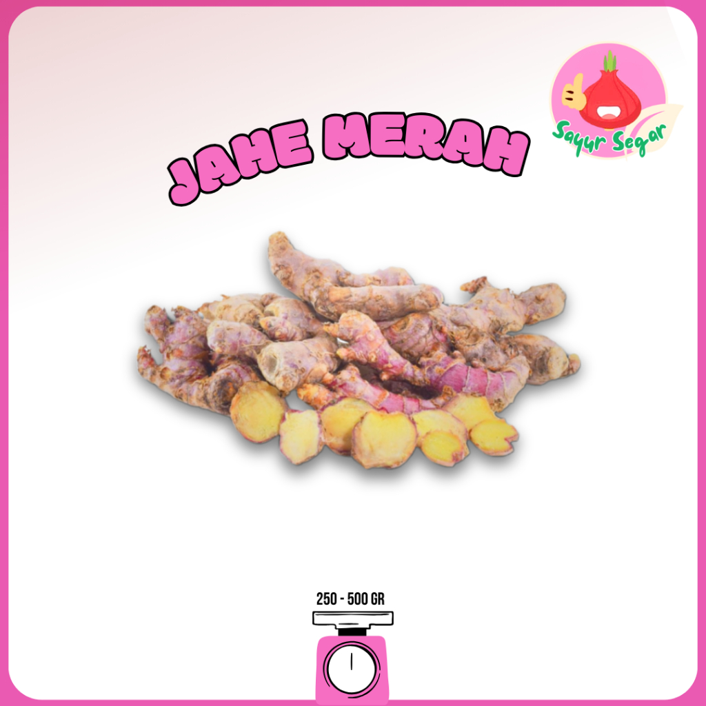 

Sayur Segar - Jahe Merah/Red Ginger
