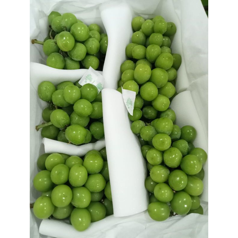 

Anggur hijau muscat