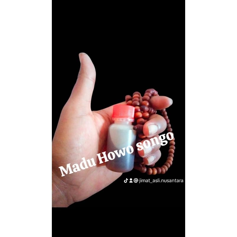 

MADU HOWO SONGO