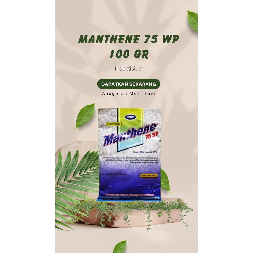 Manthene 75 SP - Insektisida