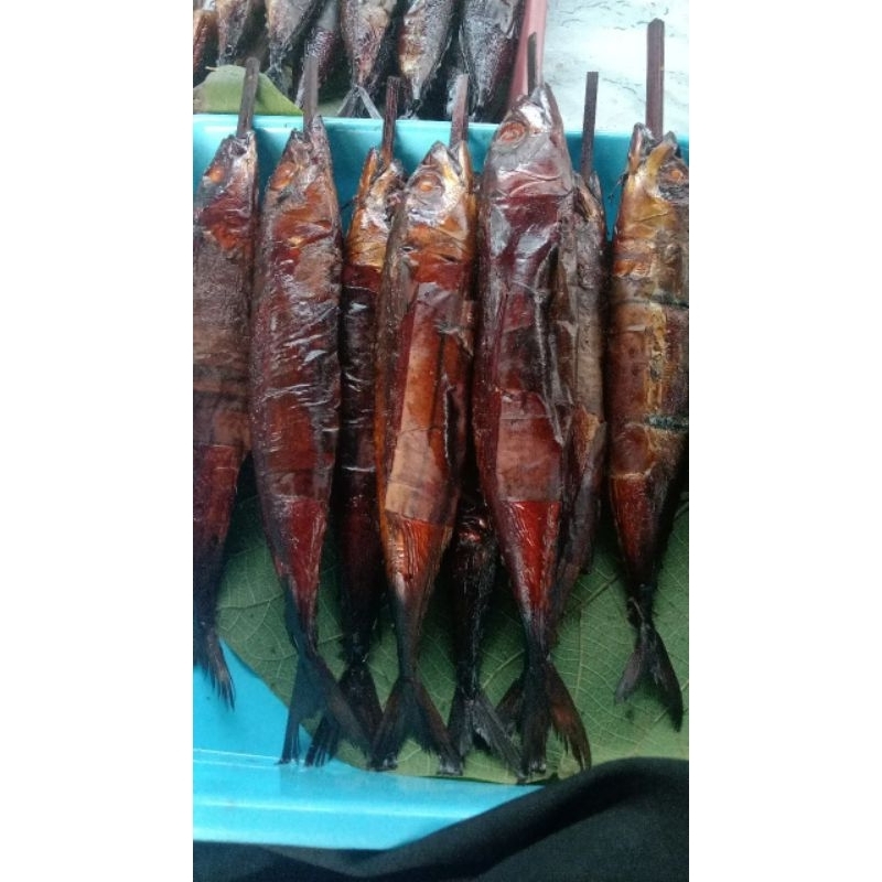 

ikan Asep salem
