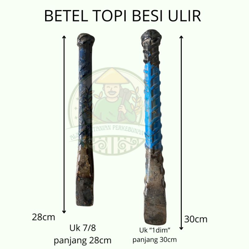 BETEL TOPI BESI ULIR/BETEL PAHAT