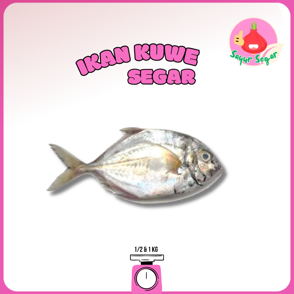 

Sayur Segar - Ikan Kuwe Segar/Jackfish