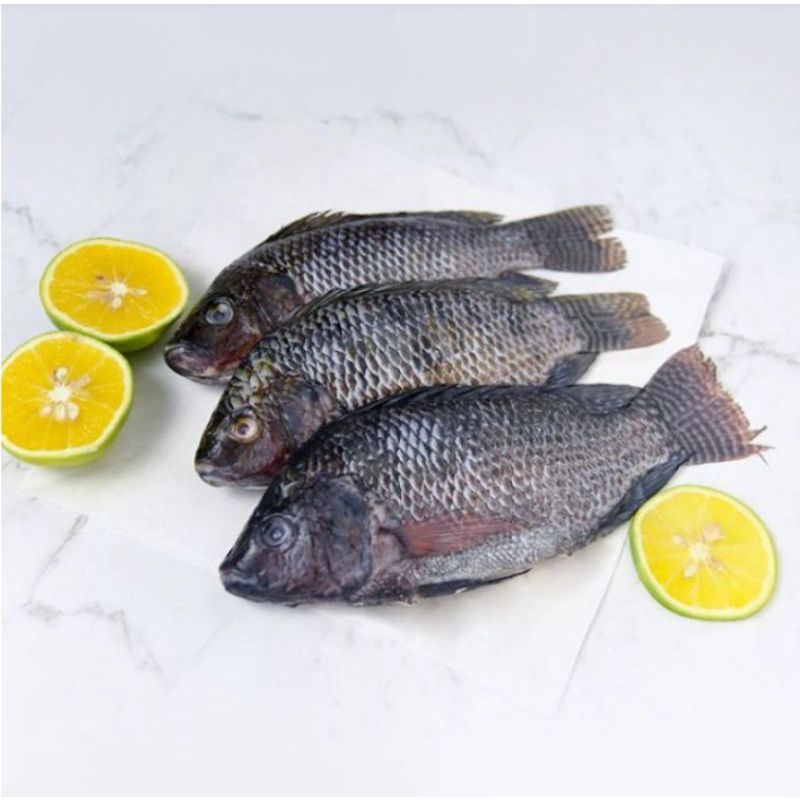 

ikan mujair 500gram