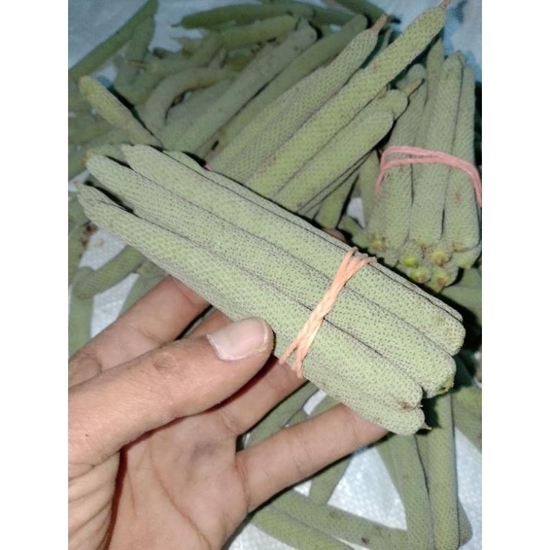 

10 Pcs Buah sirih segar langsung dari perkebunan sirih asli.